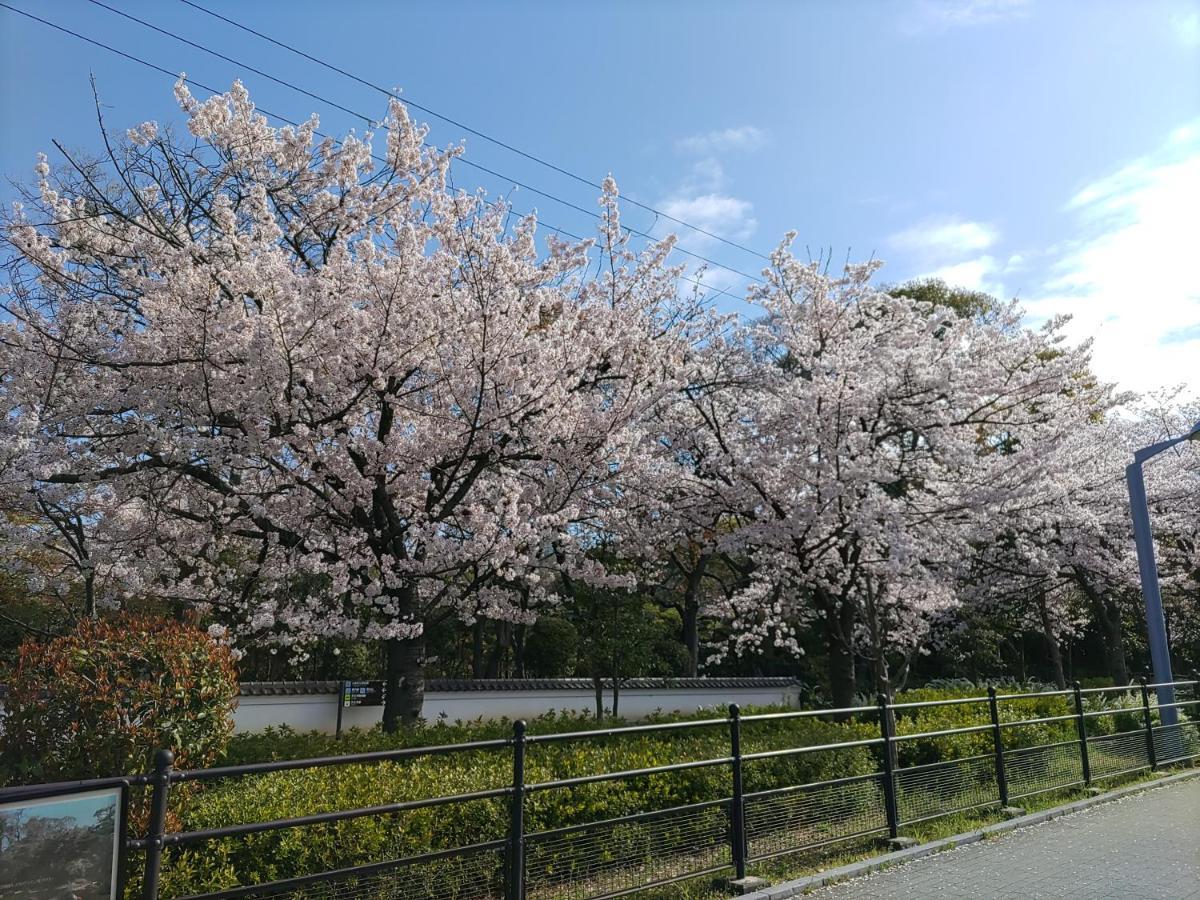 Joytel Shinsekai