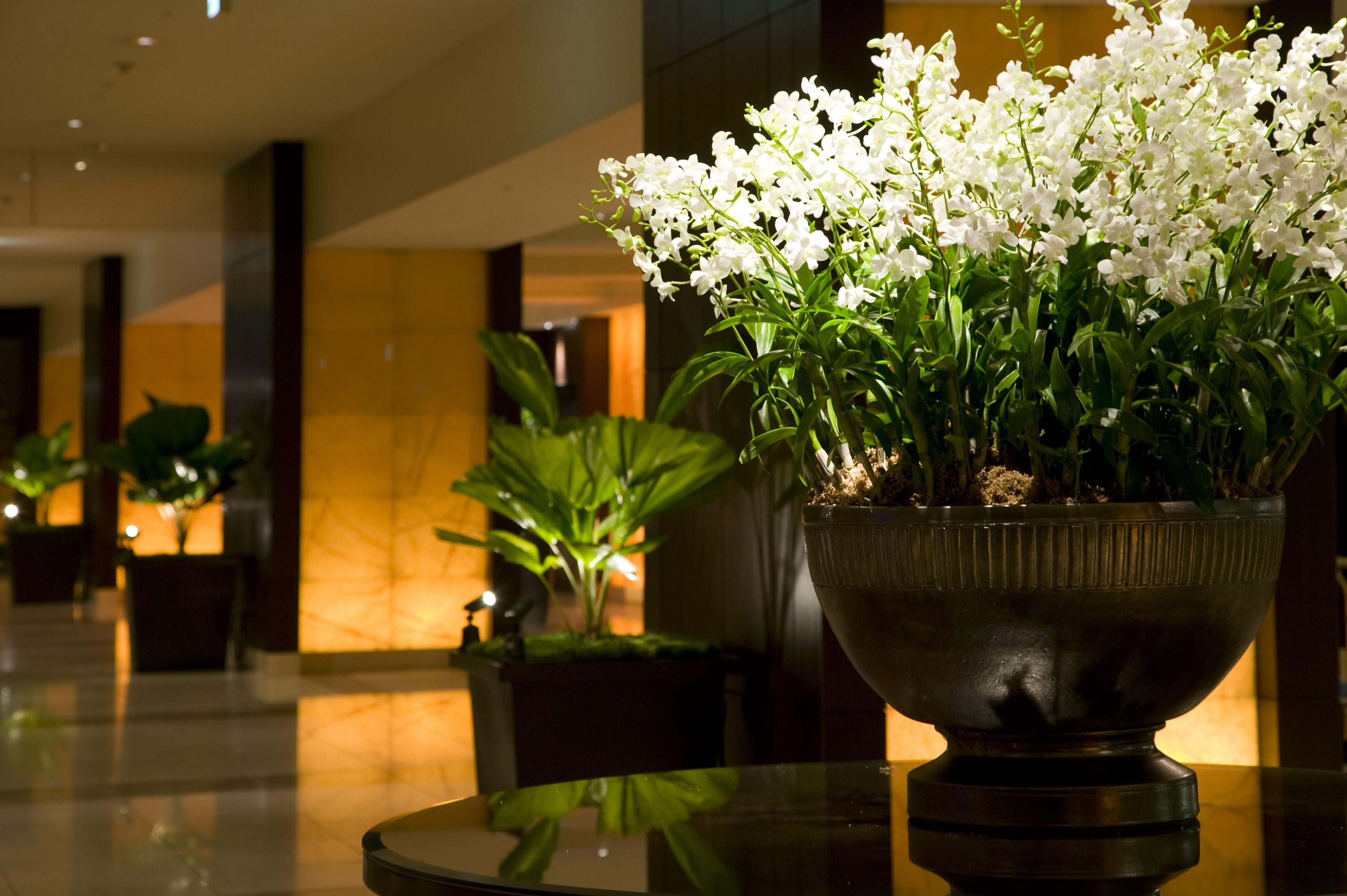 Sheraton Miyako 5*
