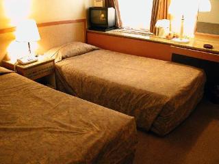Arrow In Shinsaibashi 朝食無料サービス中 Hotel 3*