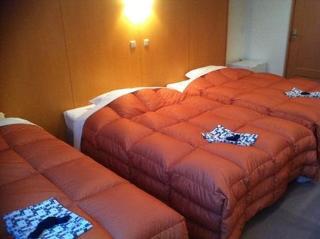 Economy hotel Le Botejour Nanba Osaka