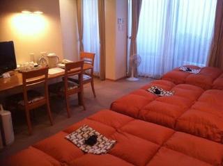 Economy hotel Le Botejour Nanba