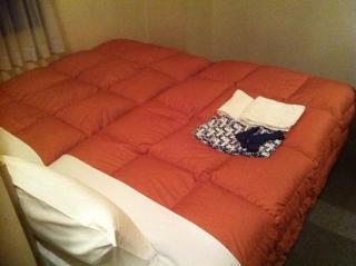Economy hotel Le Botejour Nanba 2*