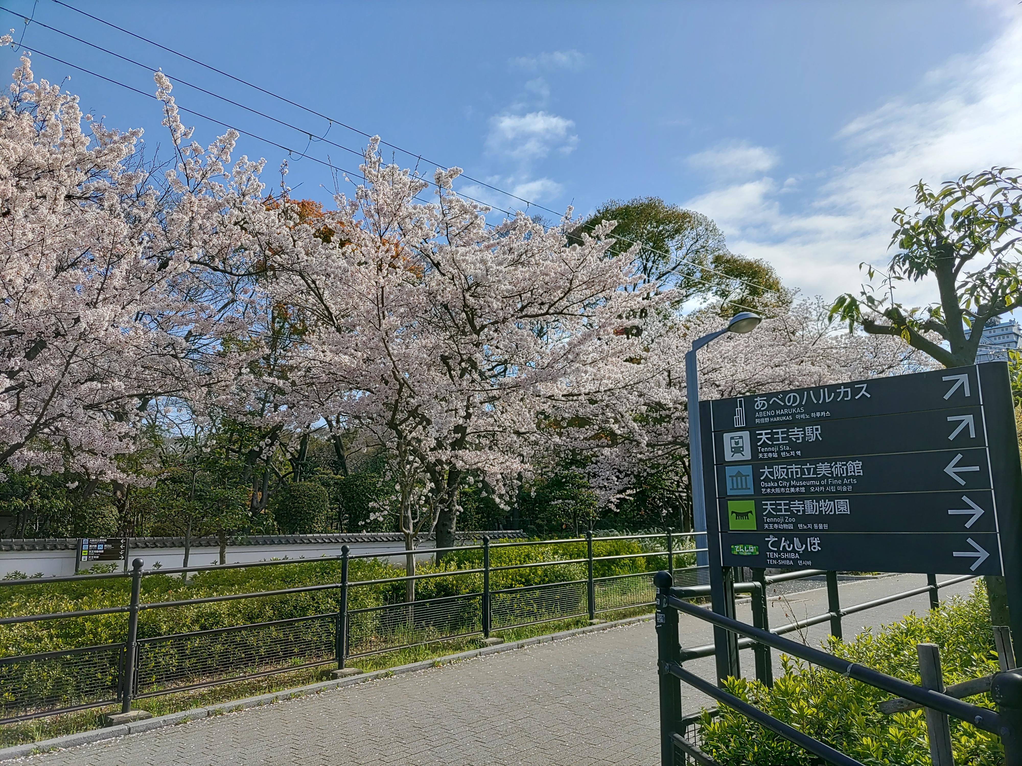 Hotel Joytel Shinsekai 4*