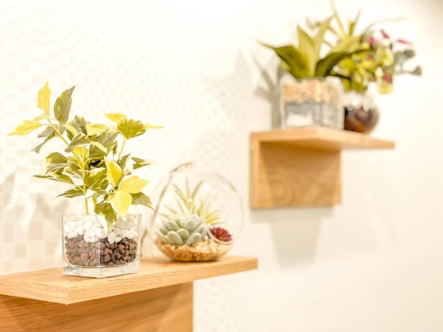 全新～和風獨立屋*兩浴兩衛*商店街*大型超市*車站4分鐘*機場鐵路35分鐘直達 提供接送機/導遊服務 Holiday home *