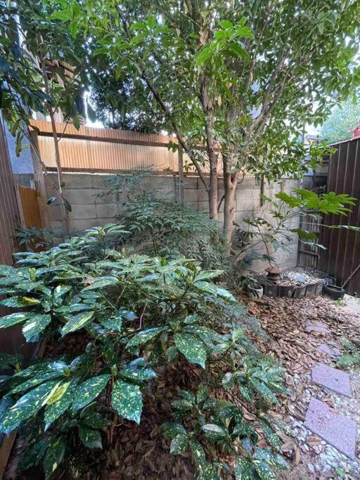 Apartment 芙蓉居 日本庭園付き一戸建 【天下茶屋から徒歩8分】最大6名宿泊可能 Osaka