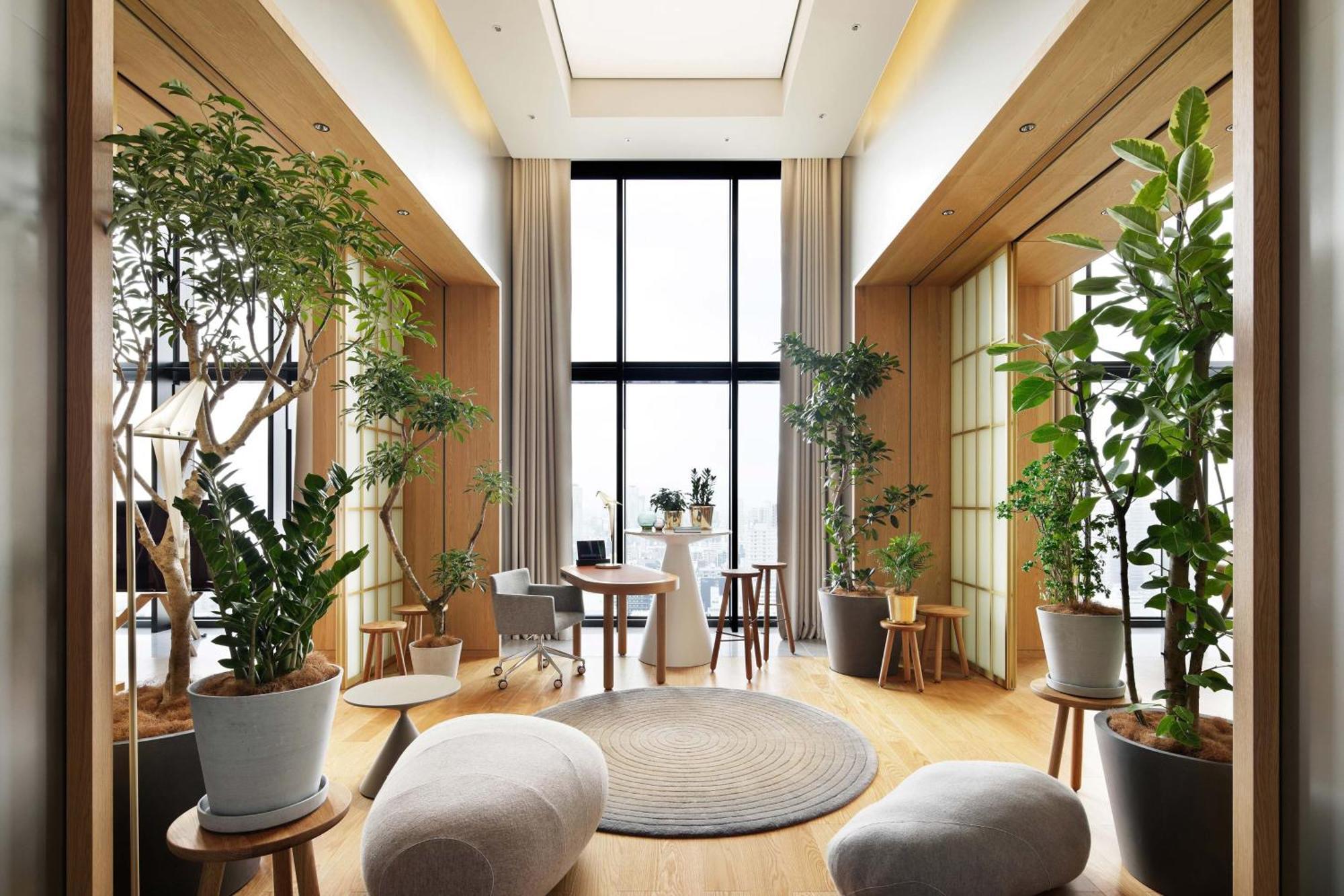 Hotel W 5*