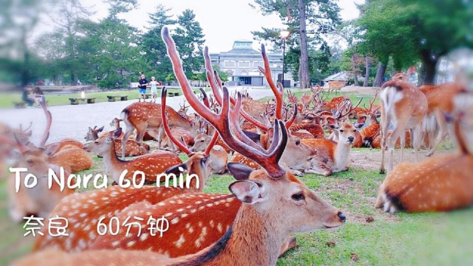 客驛宿 *