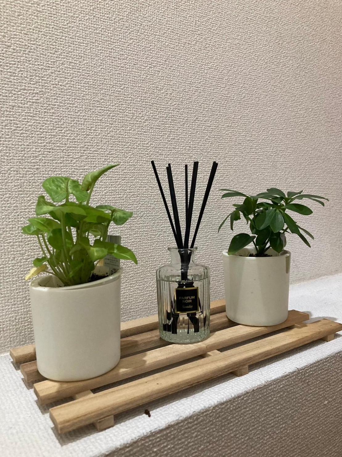 Apartment Fujiya -富士矢- Private House Max 12 People *