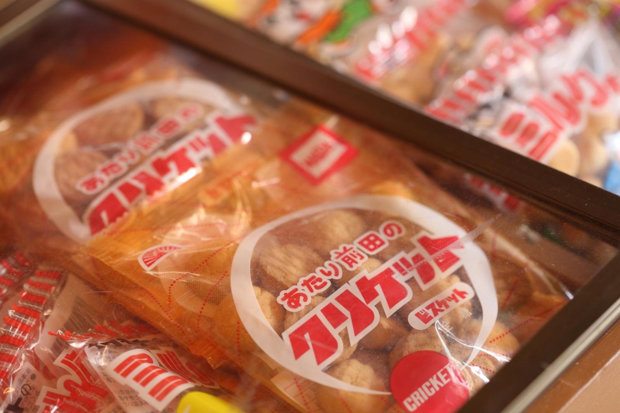 帝塚山忍者屋敷
