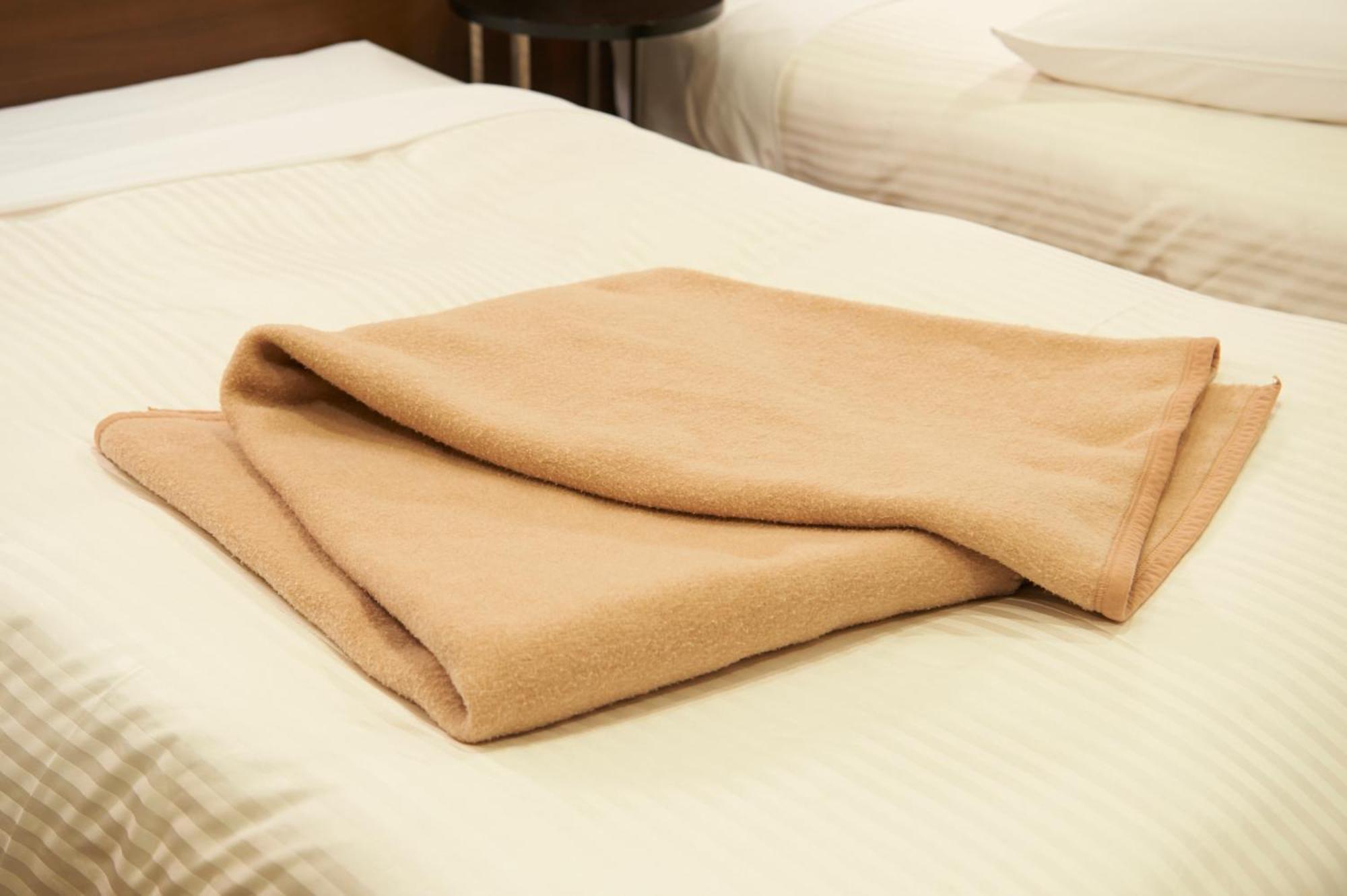 Hotel Sotetsu Fresa Shinsaibashi Osaka