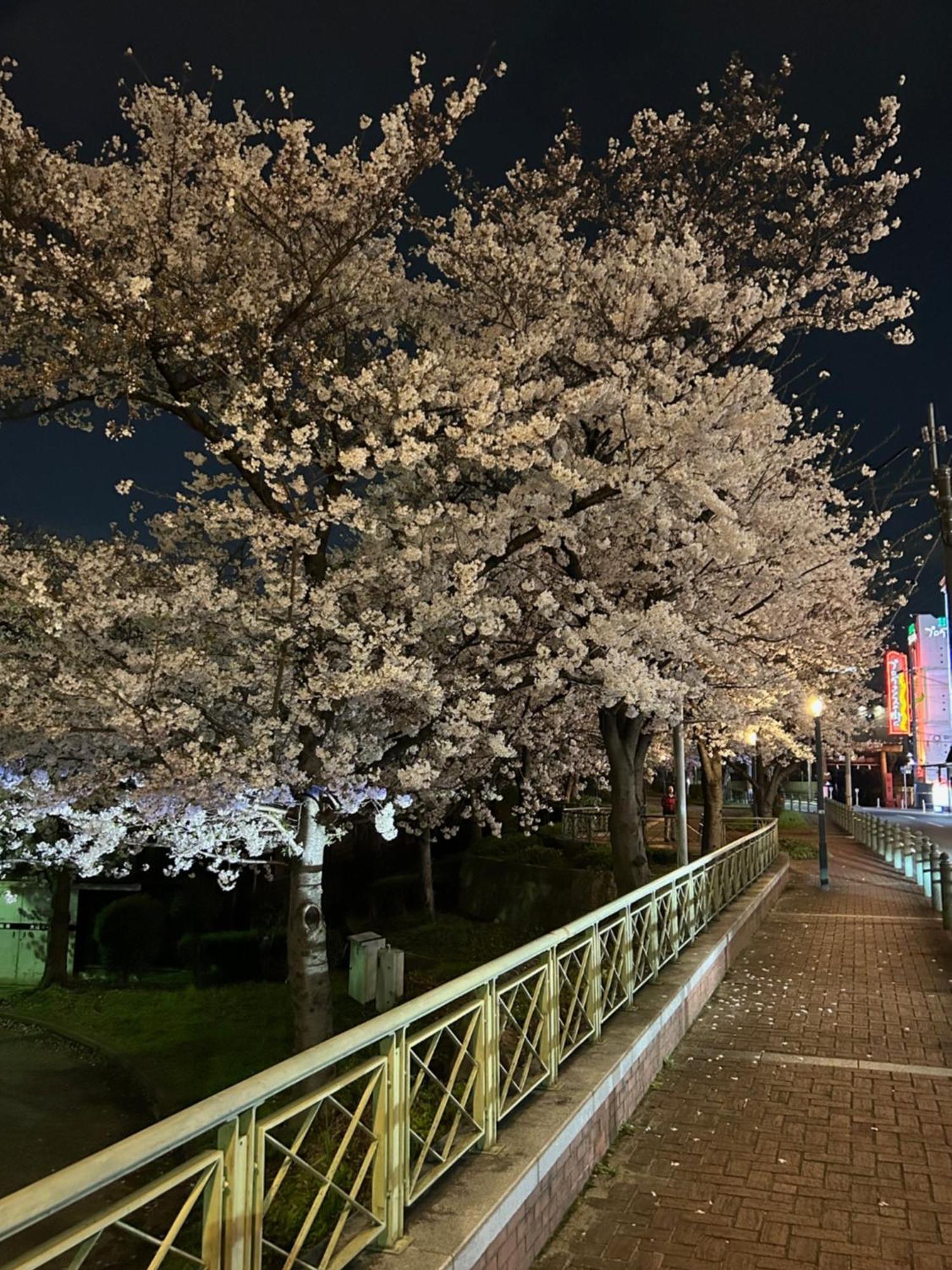 Love hotel Noah Grande (adults Only) Osaka