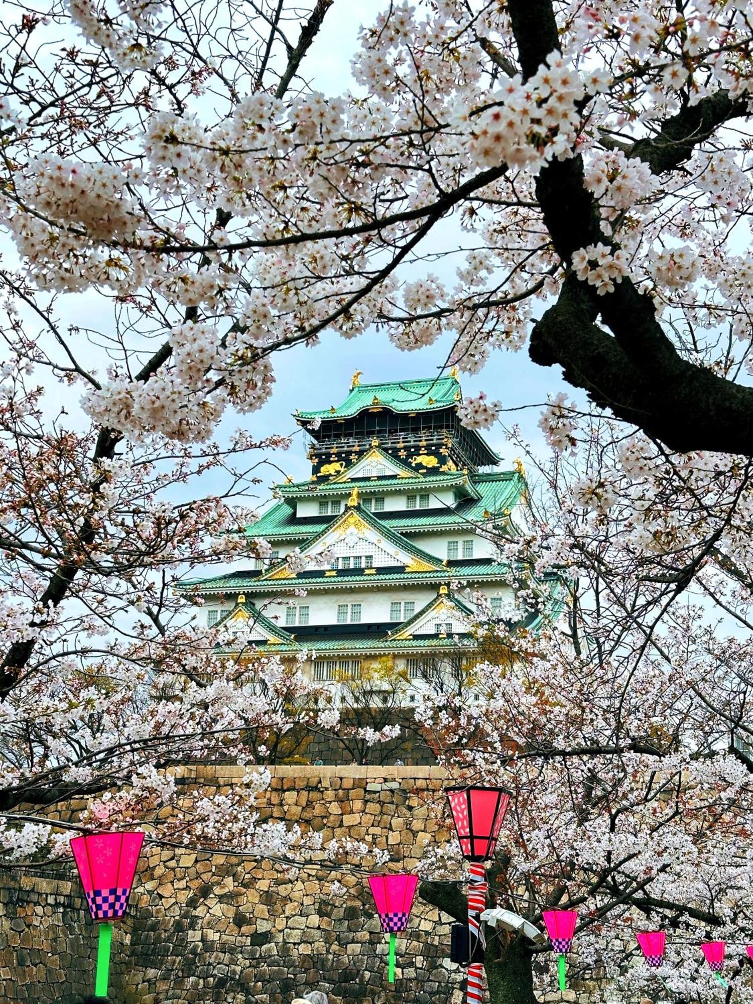 Z 大阪/日本環球影城/千鳥橋/一戶建 * Osaka
