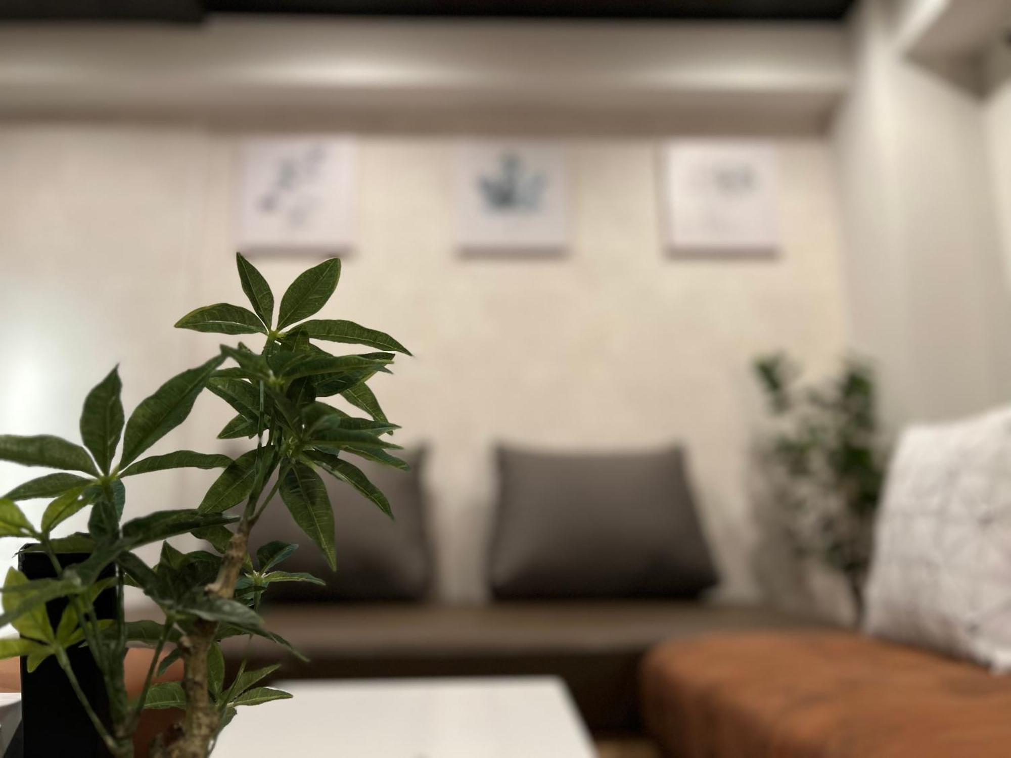 好立地