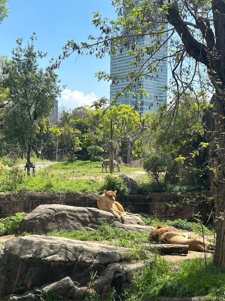 Apartment Reifa宿泊動物園前1