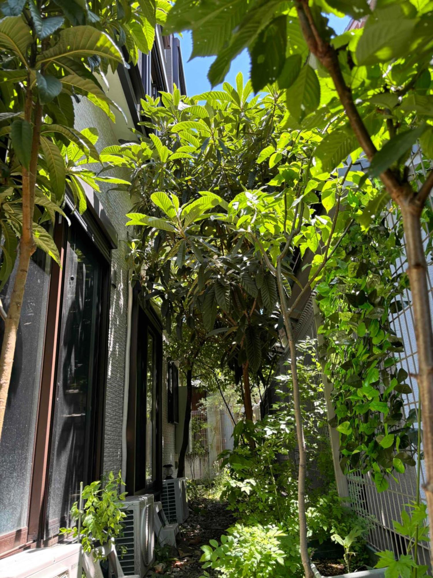Harukawa Apartment *