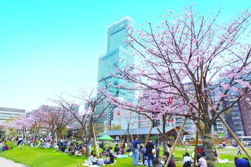 通天閣・天王寺一つ駅・最大10名・wifi完備・一戸建団体に人気 Osaka