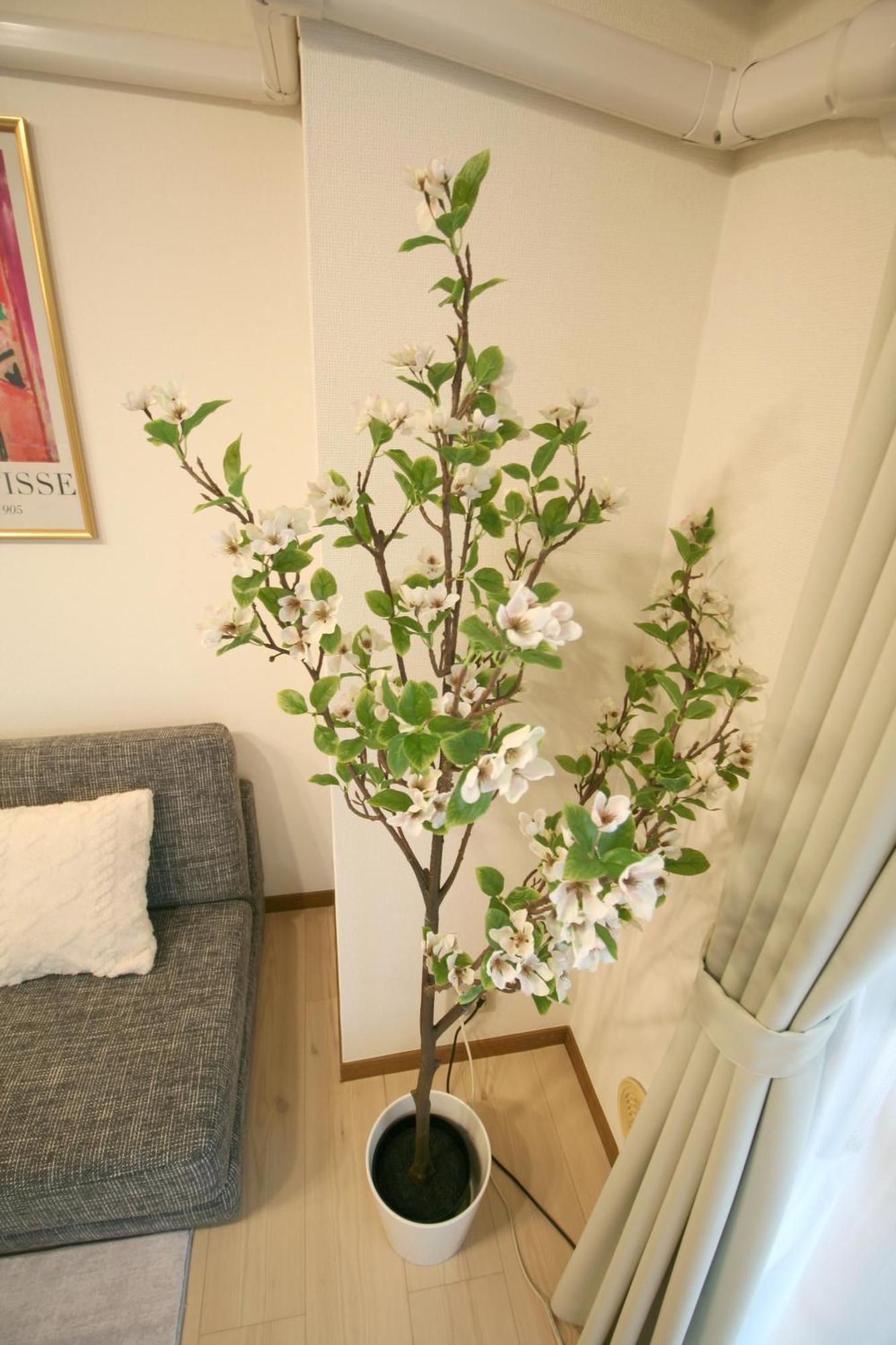 Apartment 大阪中心街 道頓堀徒歩10分!!! 日本橋駅 徒歩10分 ホテルリネン使用 702
