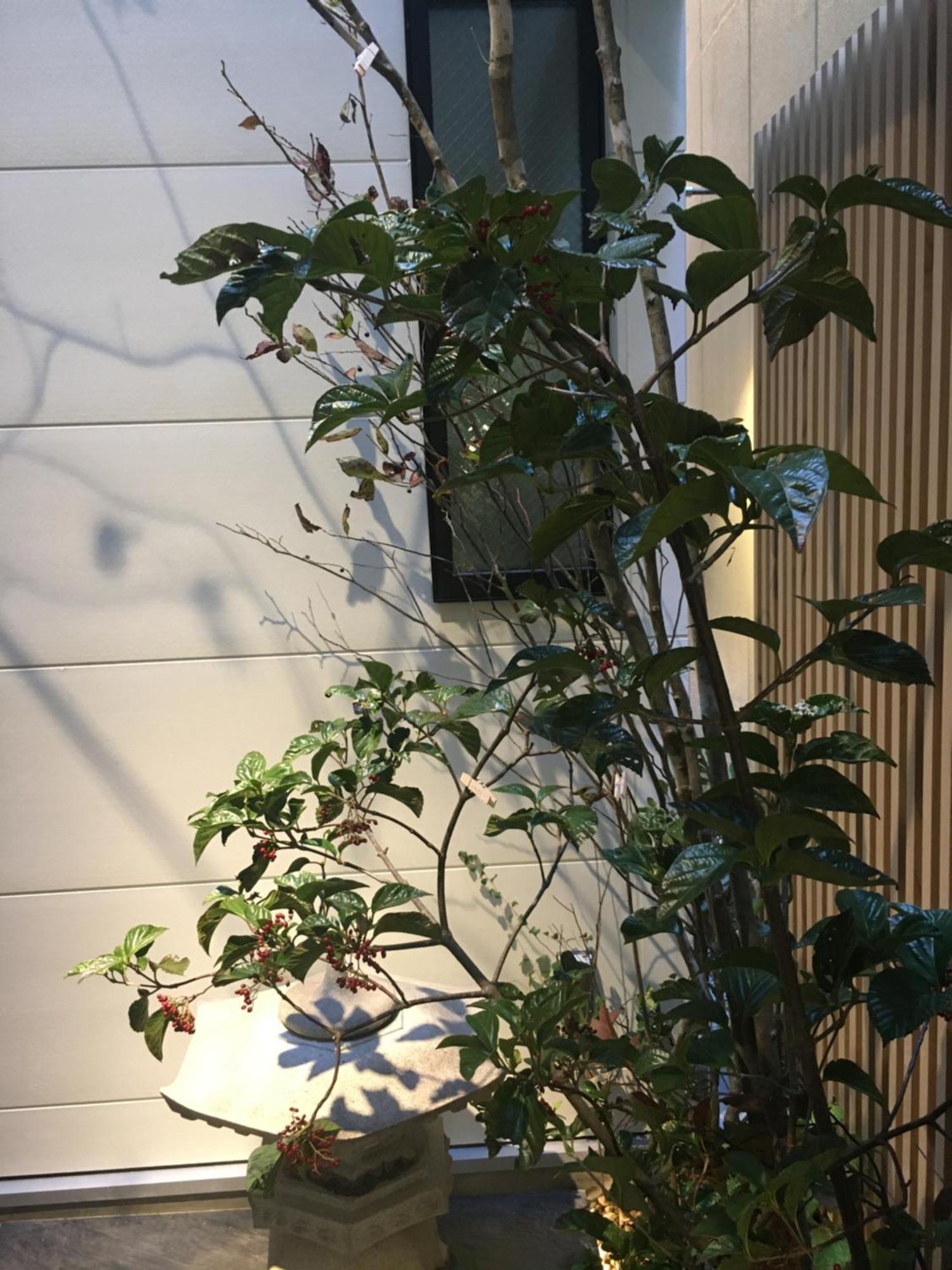 Hotel 草石庵