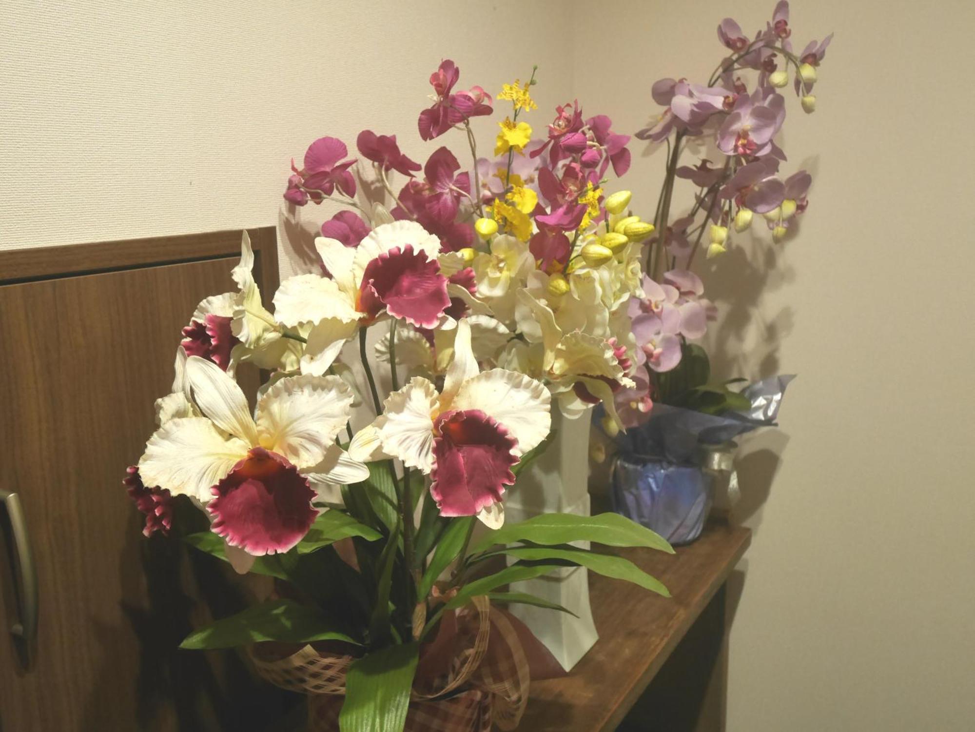 Apartamento Grande今宮駅前 *