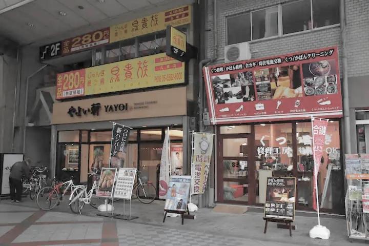 Villa Kujo Keshi No Hana *