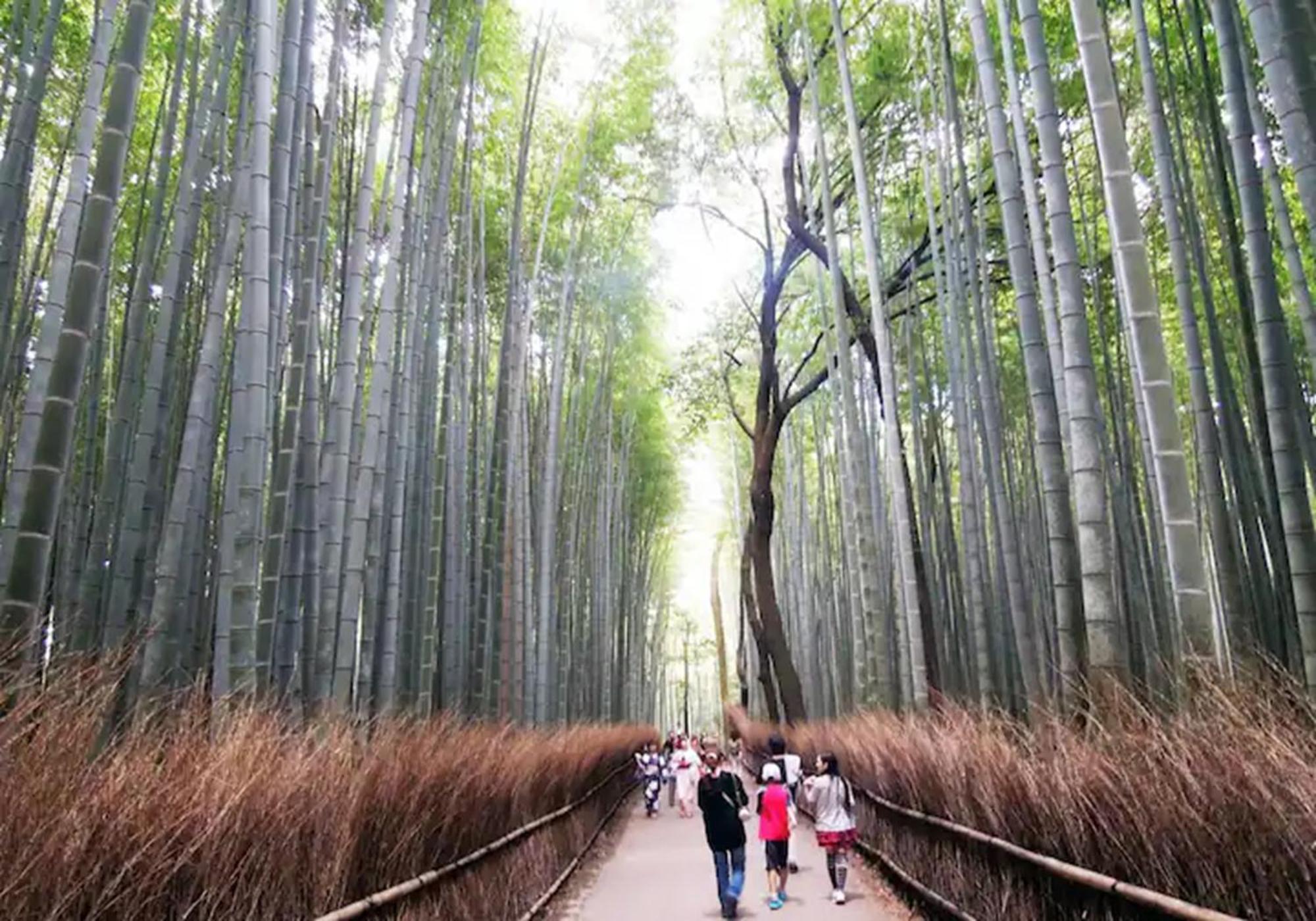 402 Newly Opened Baika Family Friendly Free Parking 10 Minutes To Usj * Osaka