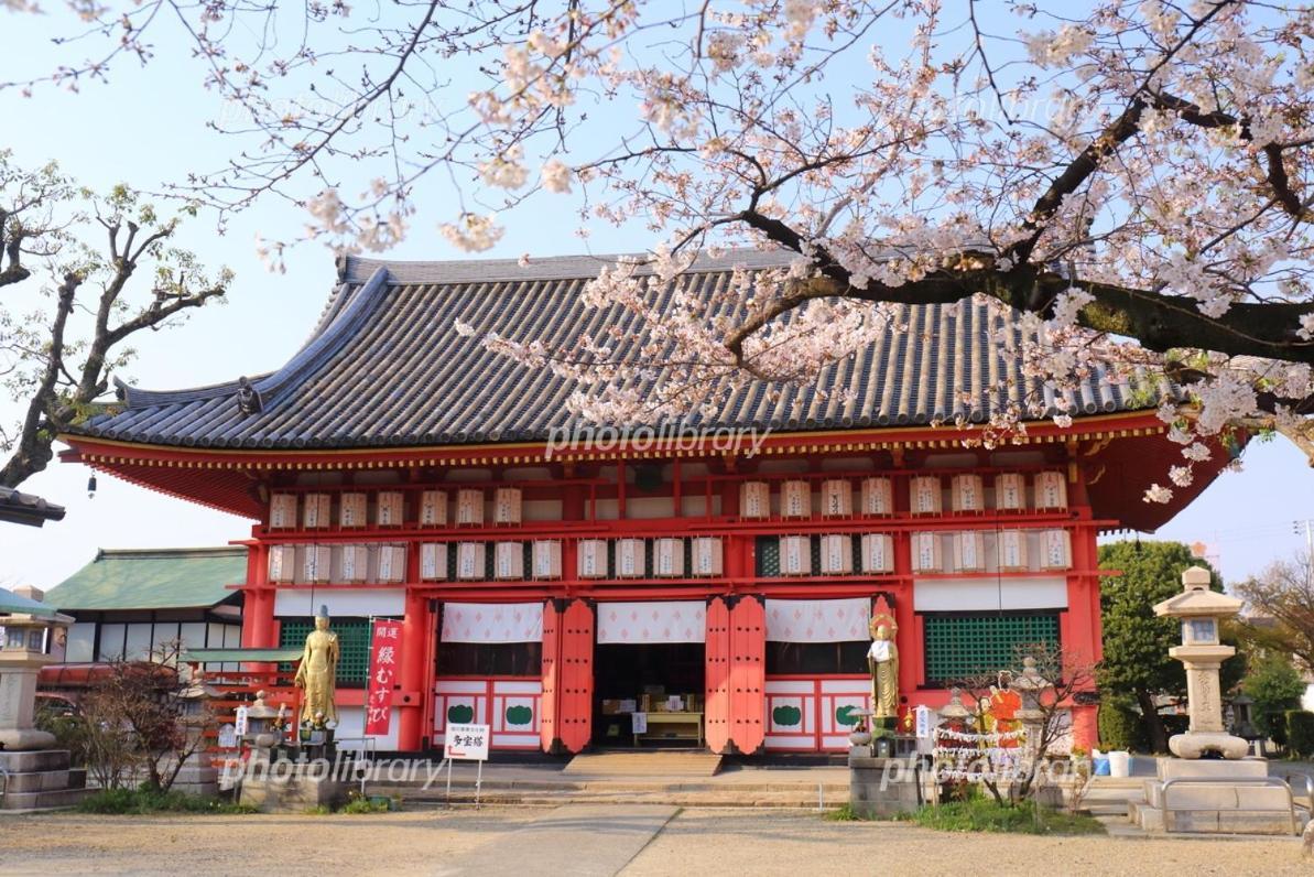 Shinimamiya Hanazonocho 6ppl House Namba Usj Hongyh * Osaka
