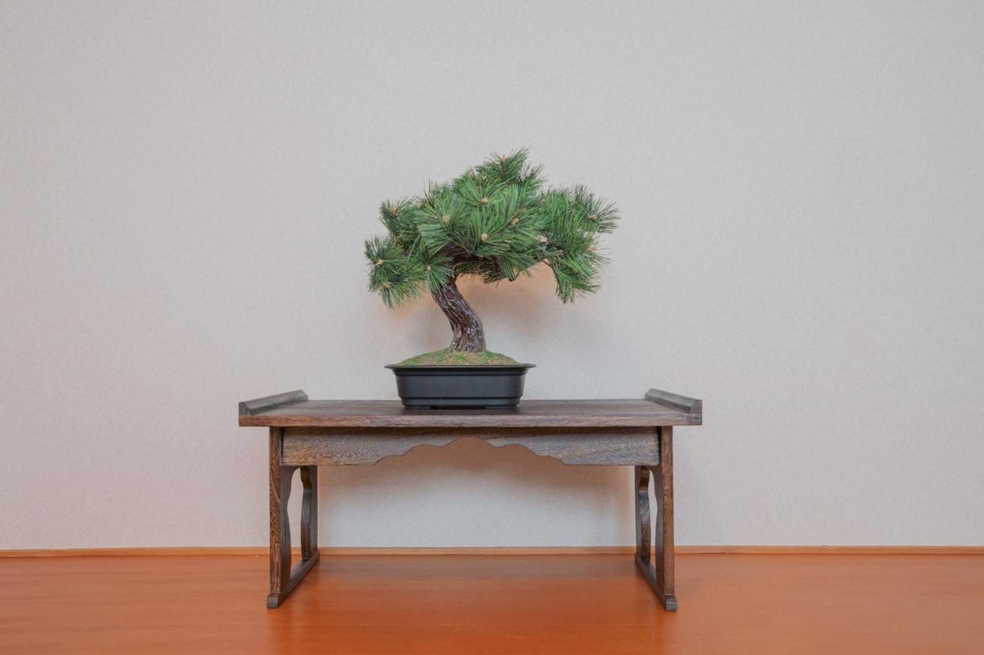 Yuyu House Kohama-ume - Vacation 18262 Holiday home *