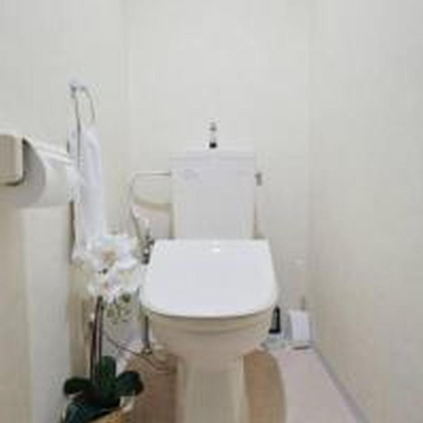 Apartment コンフィデンスロン203 *