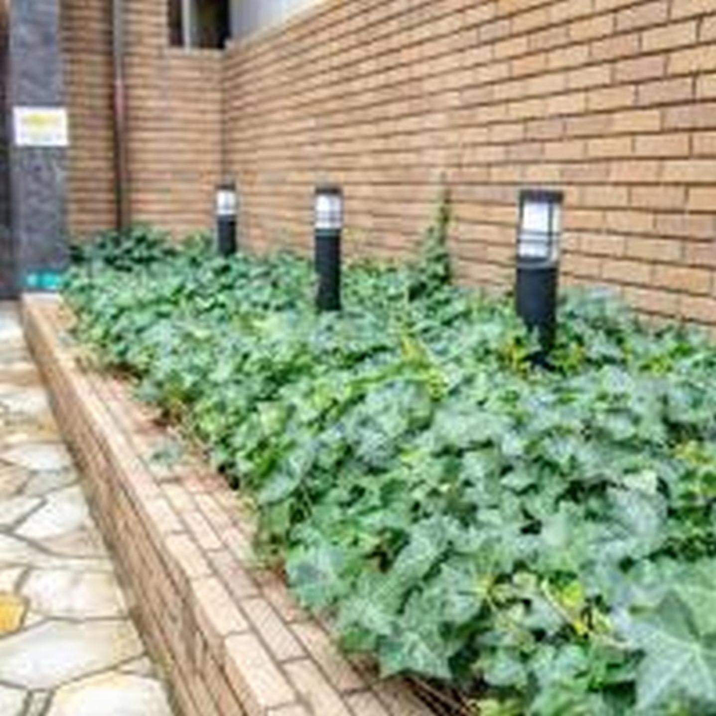 Yuki 603 Apartment