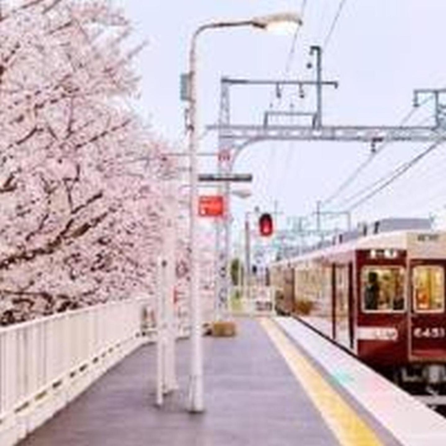 むつみ庵潮路601 * Osaka