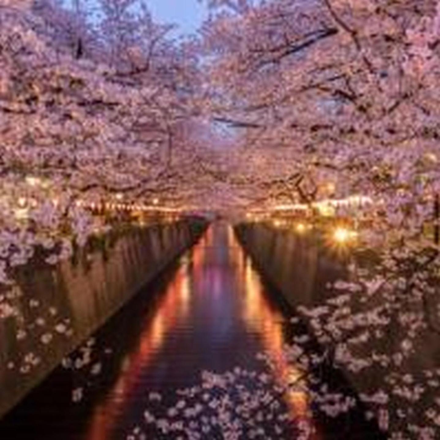 むつみ庵潮路601 Osaka