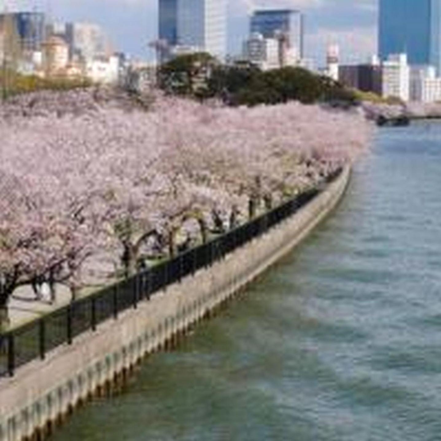 むつみ庵潮路601 Apartment Osaka