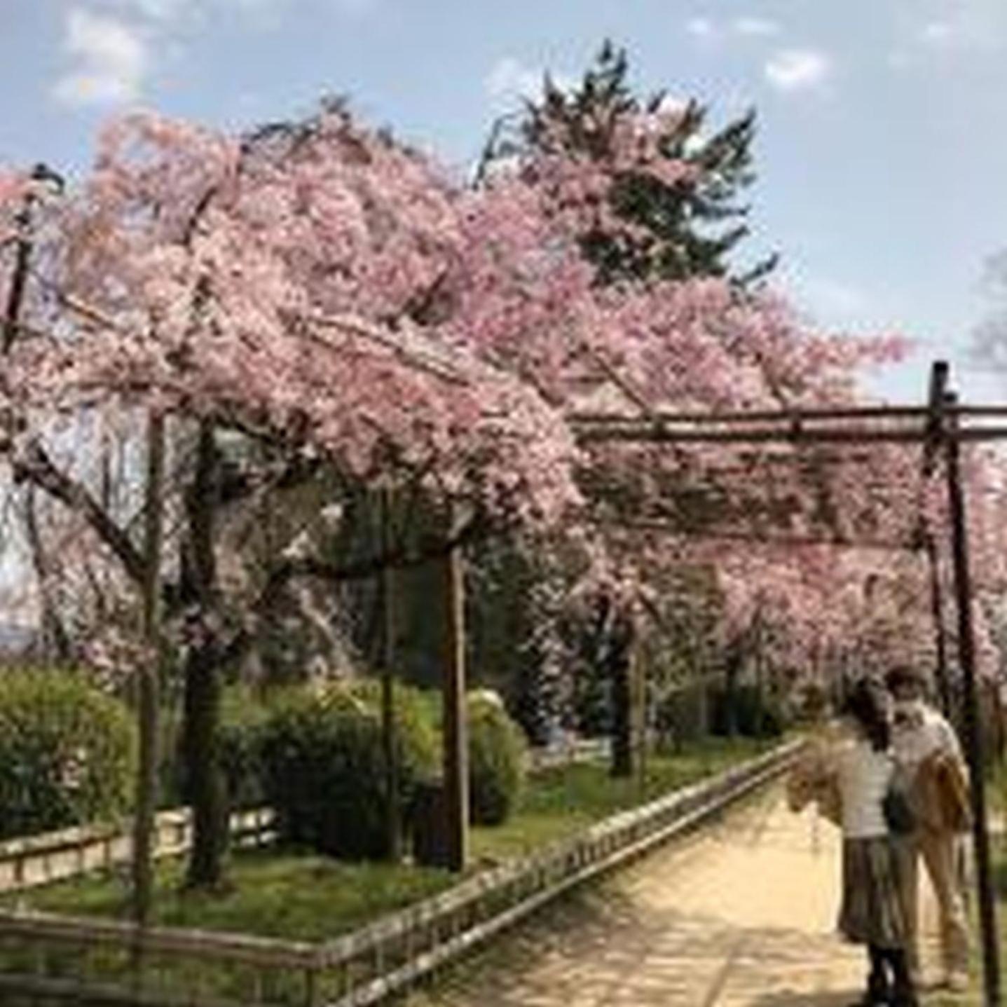 むつみ庵潮路601