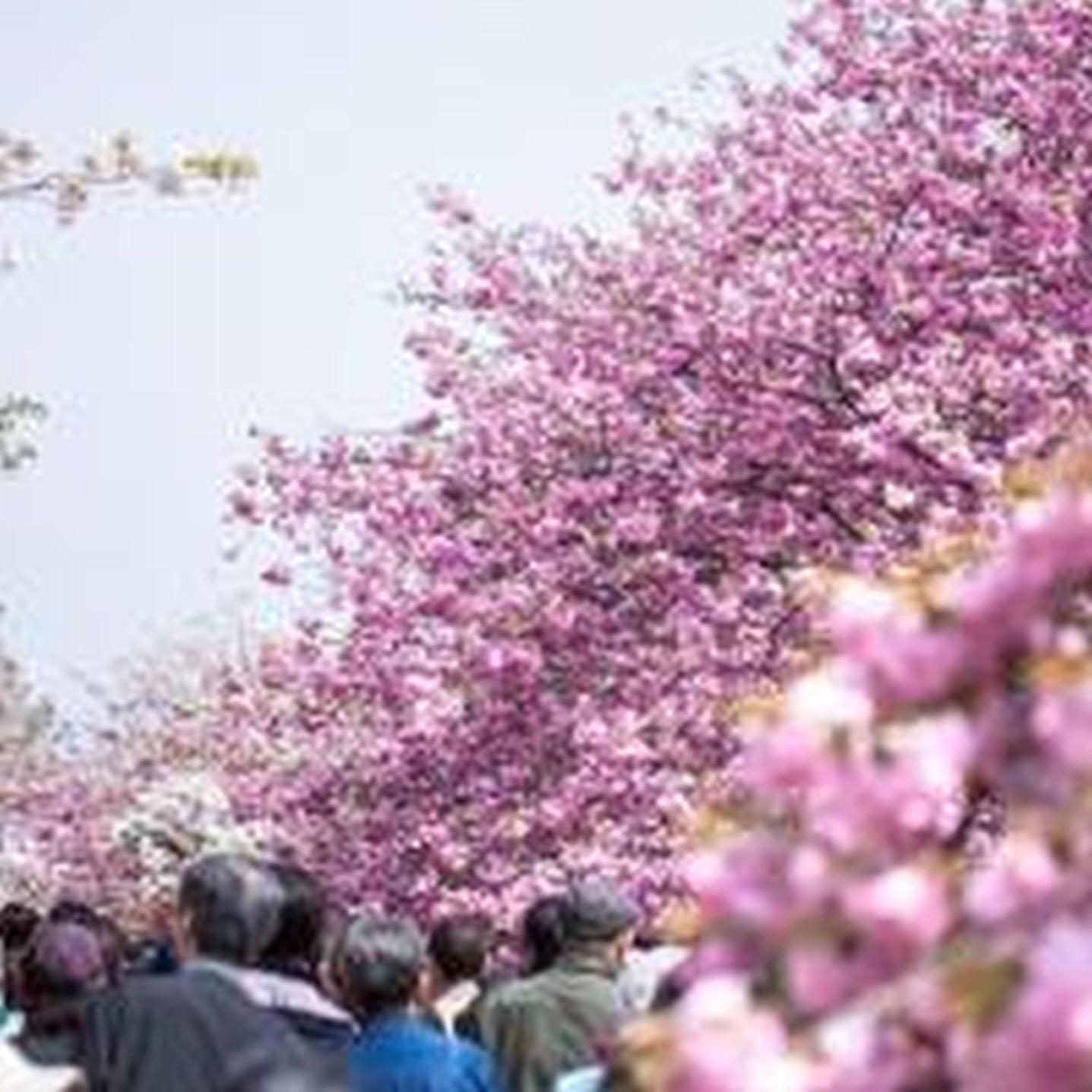 むつみ庵潮路301