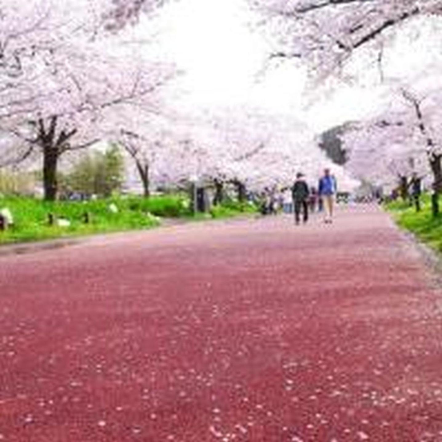 むつみ庵潮路301 * Osaka