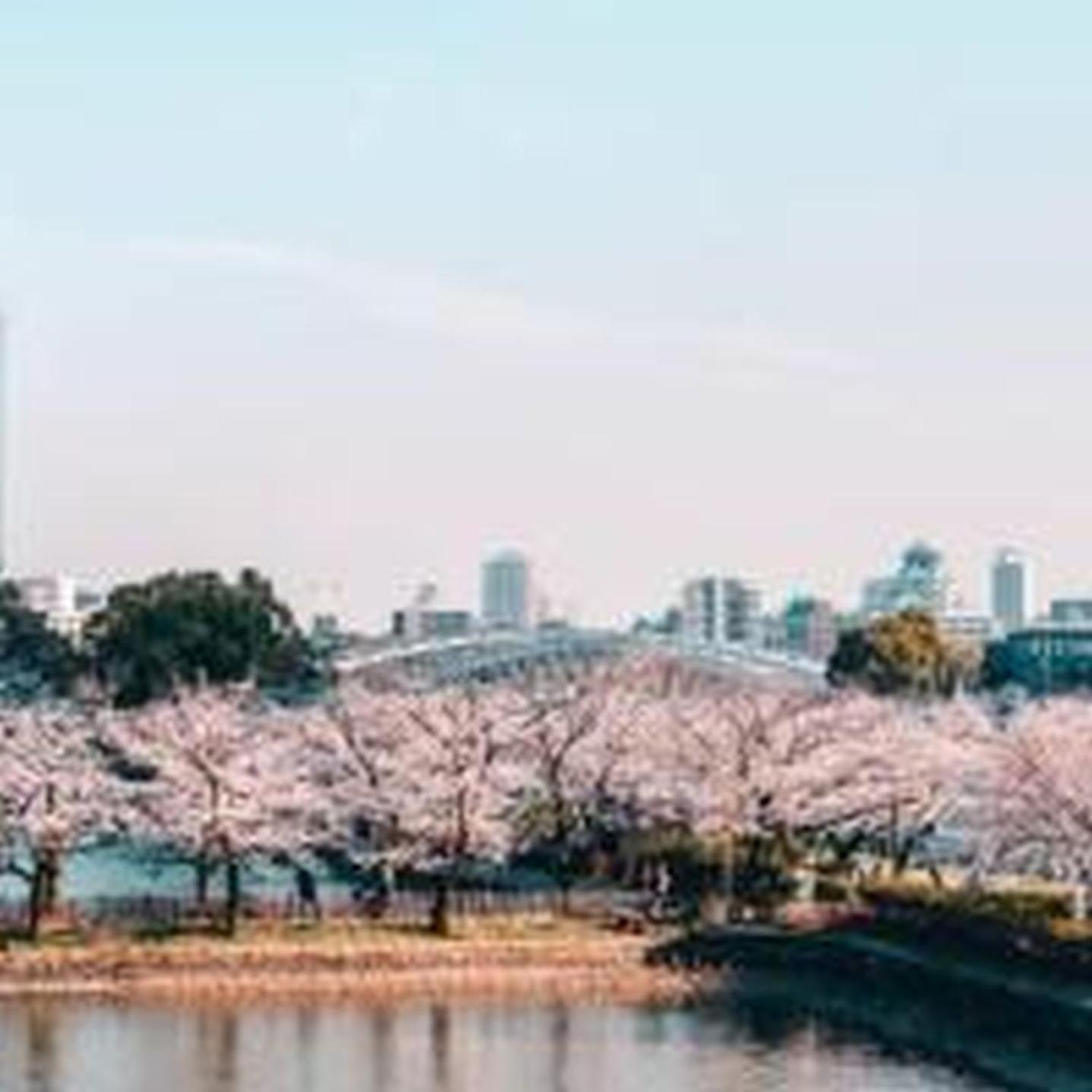 むつみ庵潮路301 *