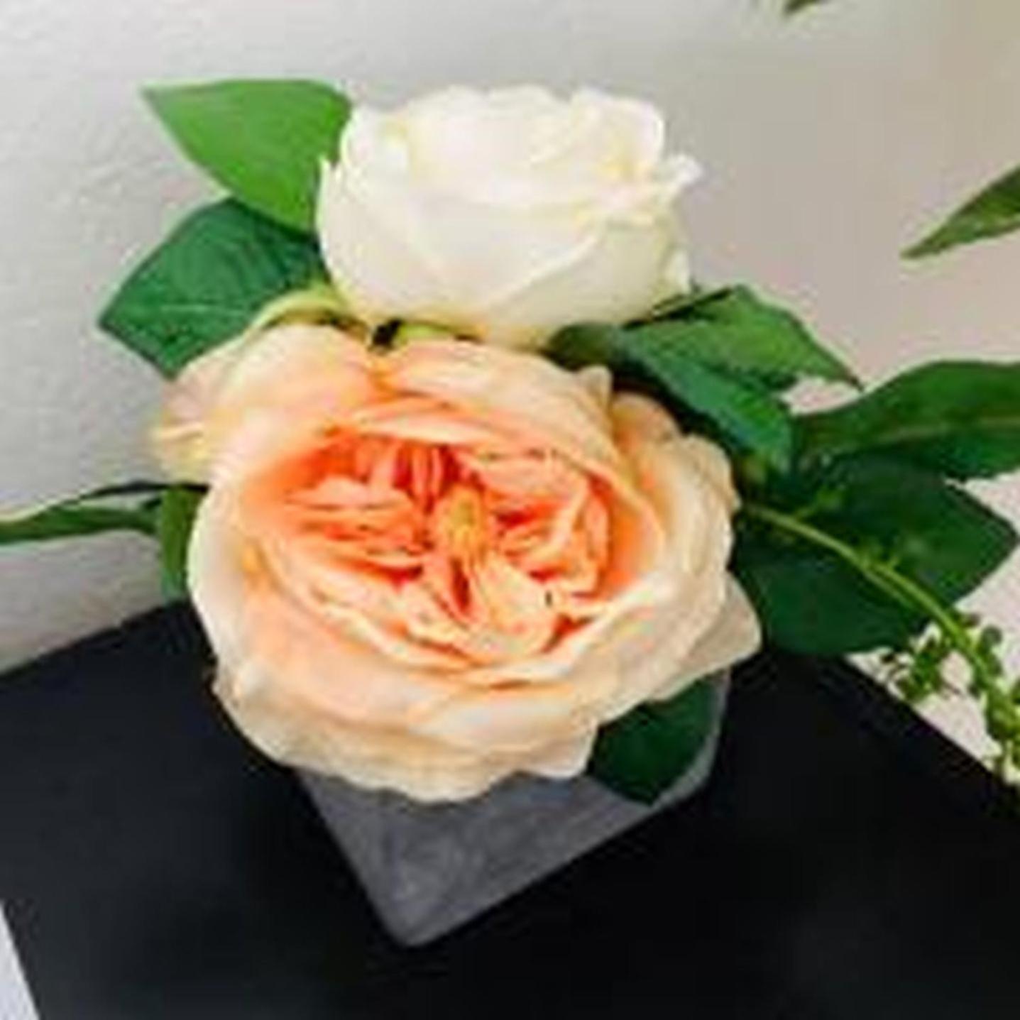Apartment ファースト南堀江302