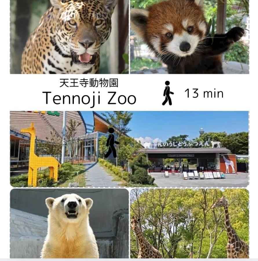 Apartment Haraya 大国町駅より徒歩3分