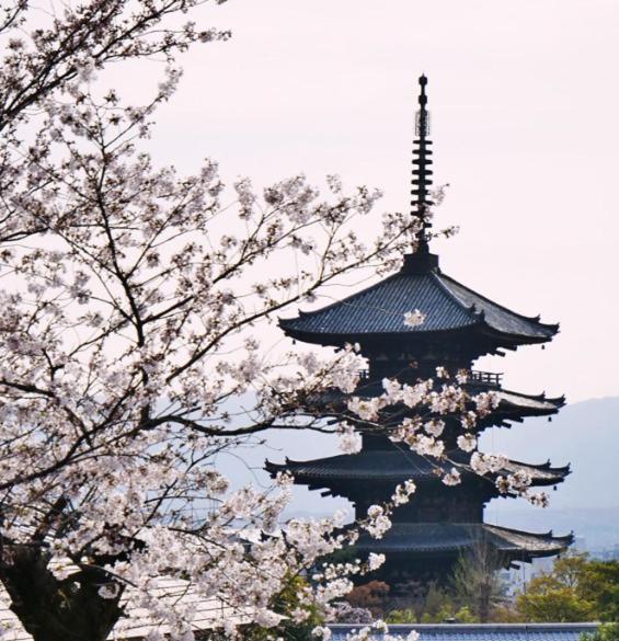 1102黒門市場1分!道頓堀まで徒歩8分!心斎橋まで徒歩9分!関西空港とusj直行電車バスあり Apartment *