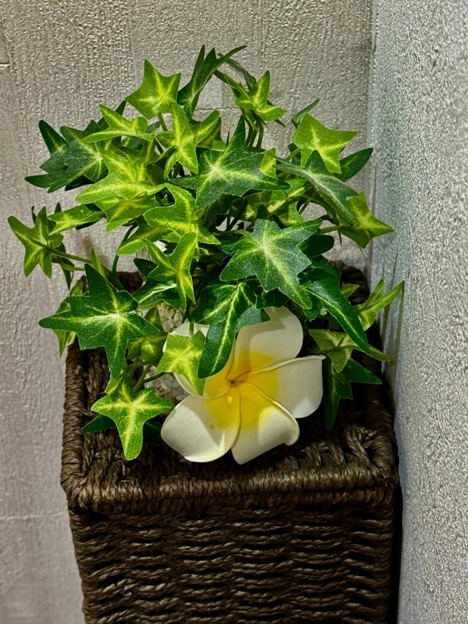 Pousada Modern And Traditional Fusion In Umeda 3-min Walk To Subway Ideal For Families And Groups