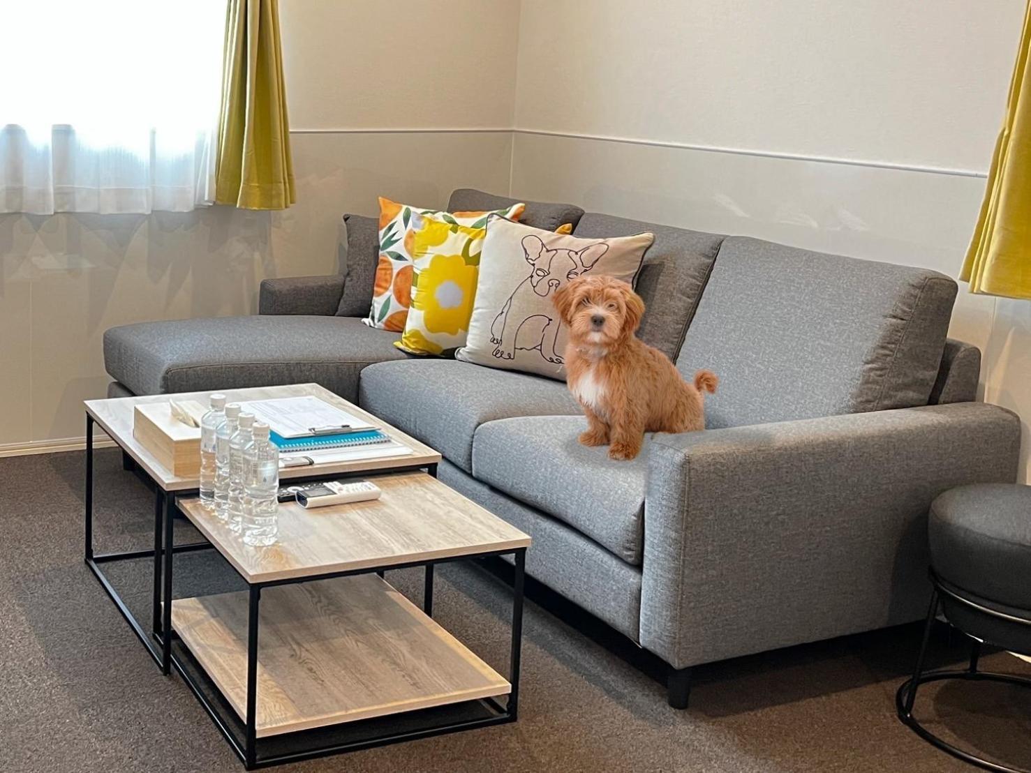 Holiday home Casa Stella 8 By Liaison - Vacation 18626