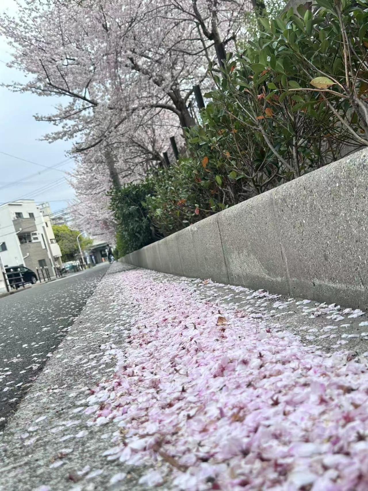 -旅タイム 岸里春日- 岸里駅 大型車駐車場あり Apartment *