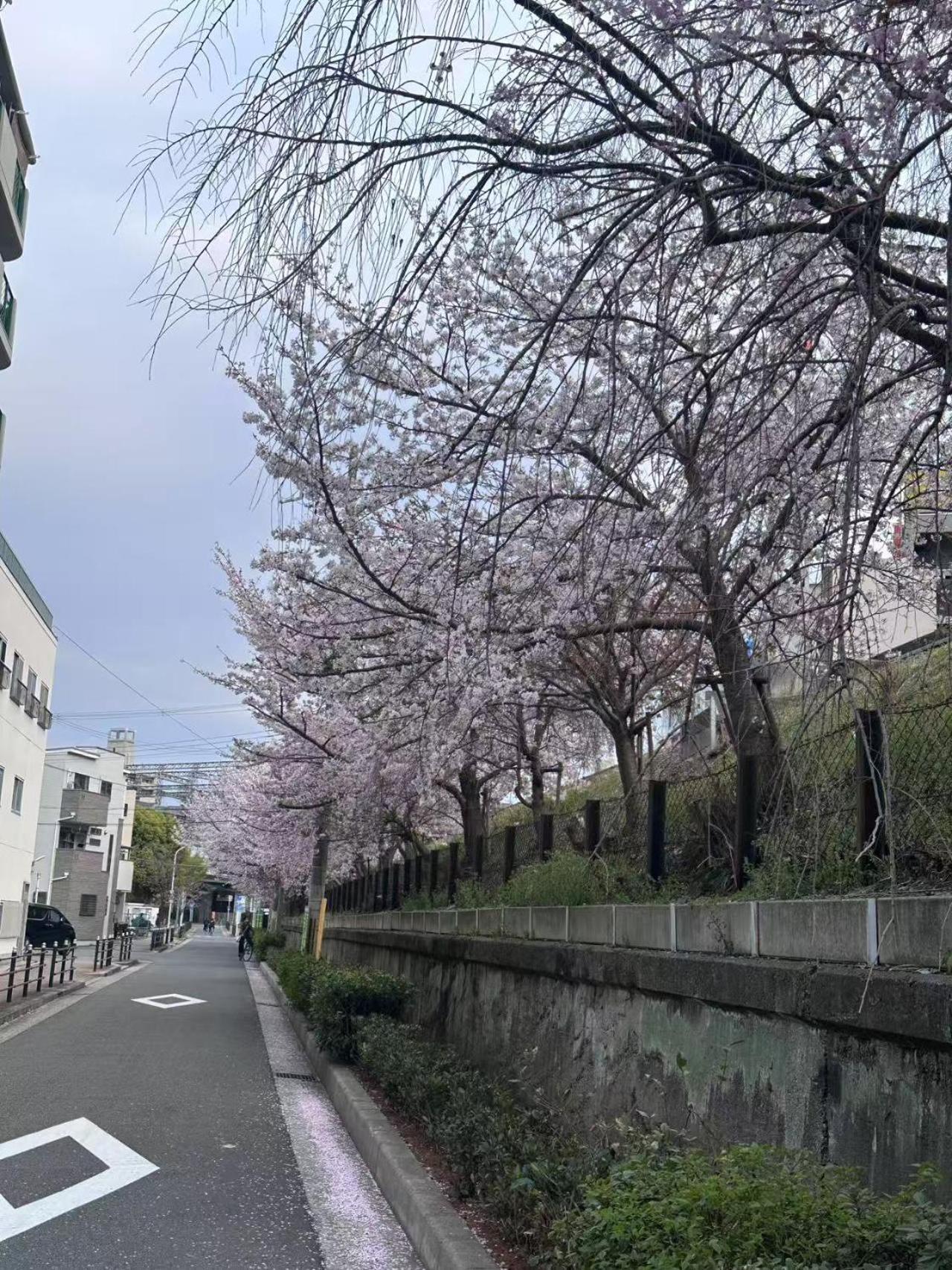 Apartment -旅タイム 岸里春日- 岸里駅 大型車駐車場あり Osaka