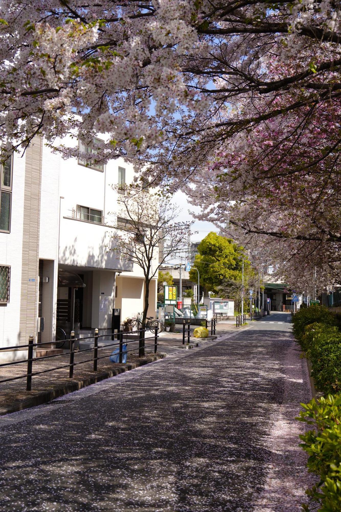 -旅タイム・岸里夏也 - 岸里玉出駅 大型車駐車場あり Apartment *