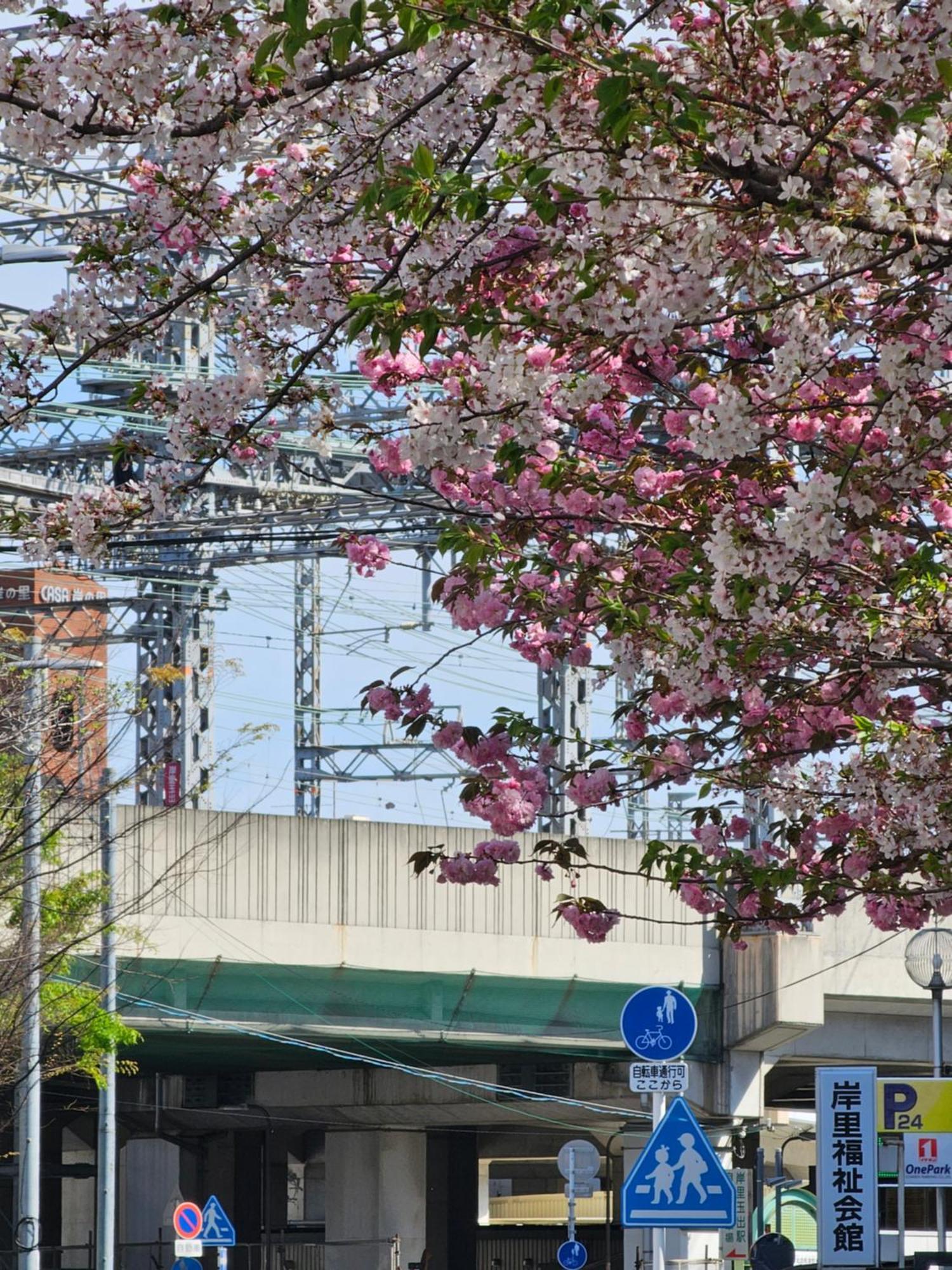 -旅タイム・岸里夏也 - 岸里玉出駅 大型車駐車場あり *