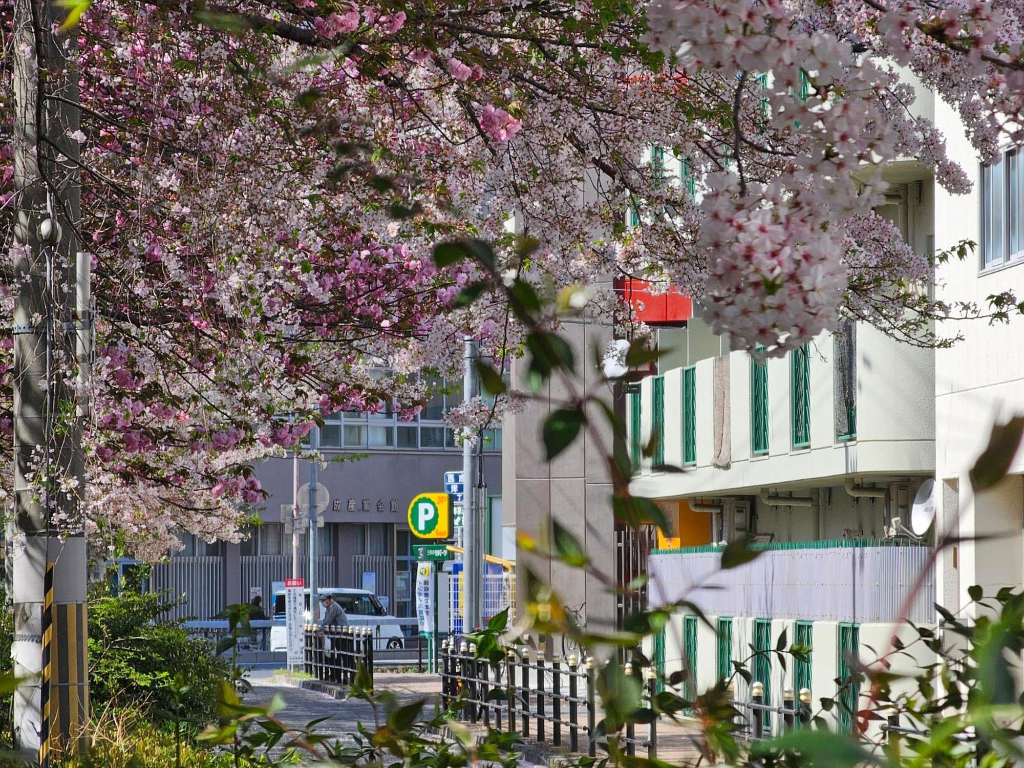 -旅タイム・岸里夏也 - 岸里玉出駅 大型車駐車場あり Osaka