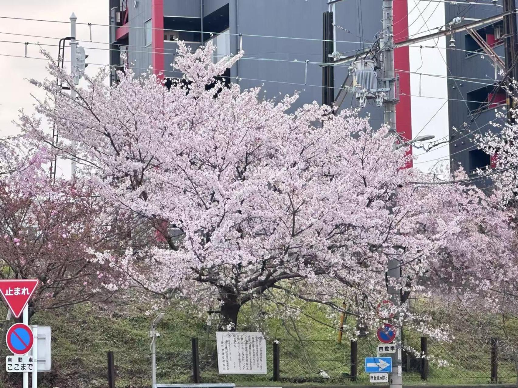 Apartment -旅タイム・岸里夏也 - 岸里玉出駅 大型車駐車場あり