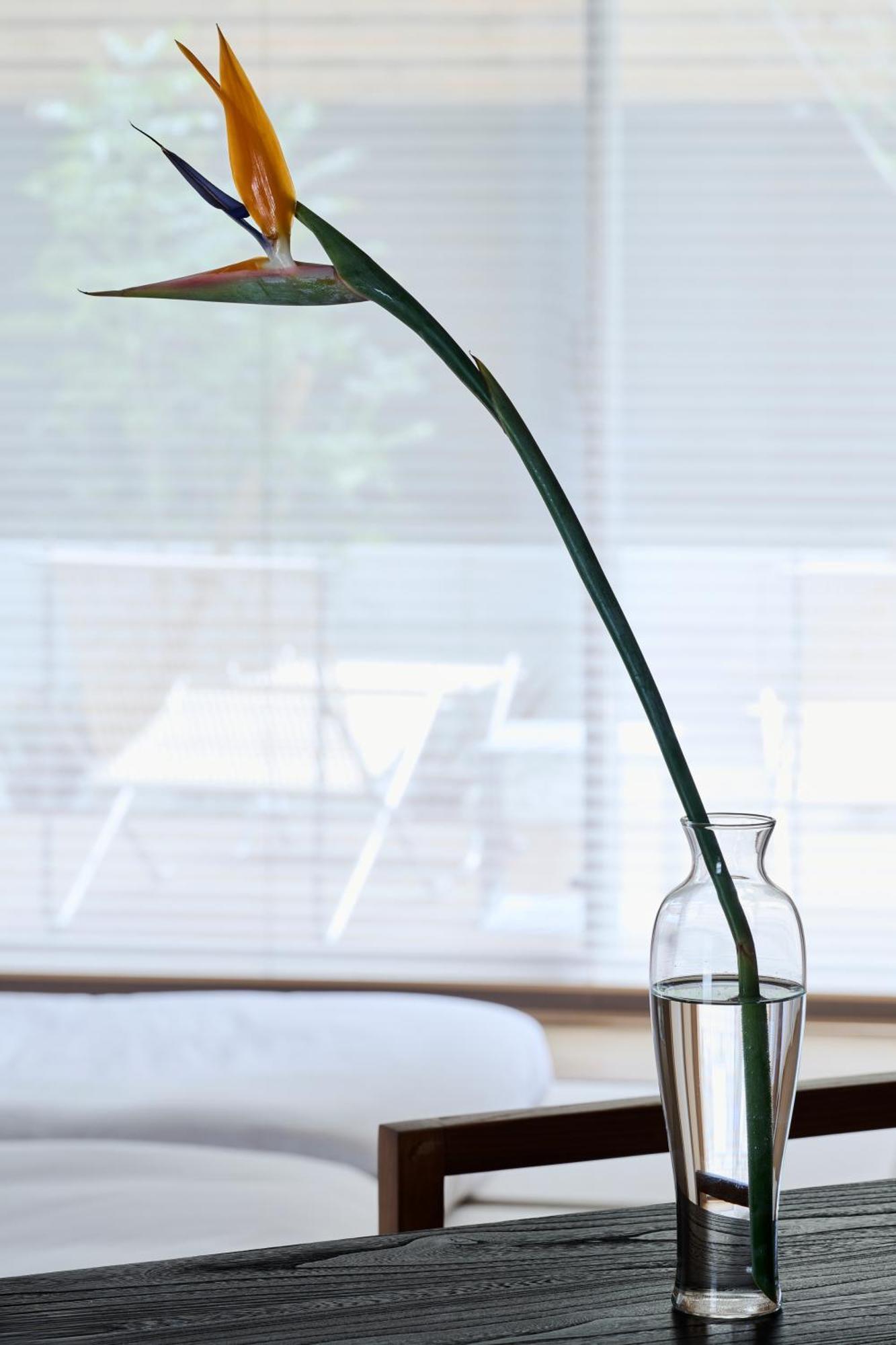 Reikyo Hanazono Apartment
