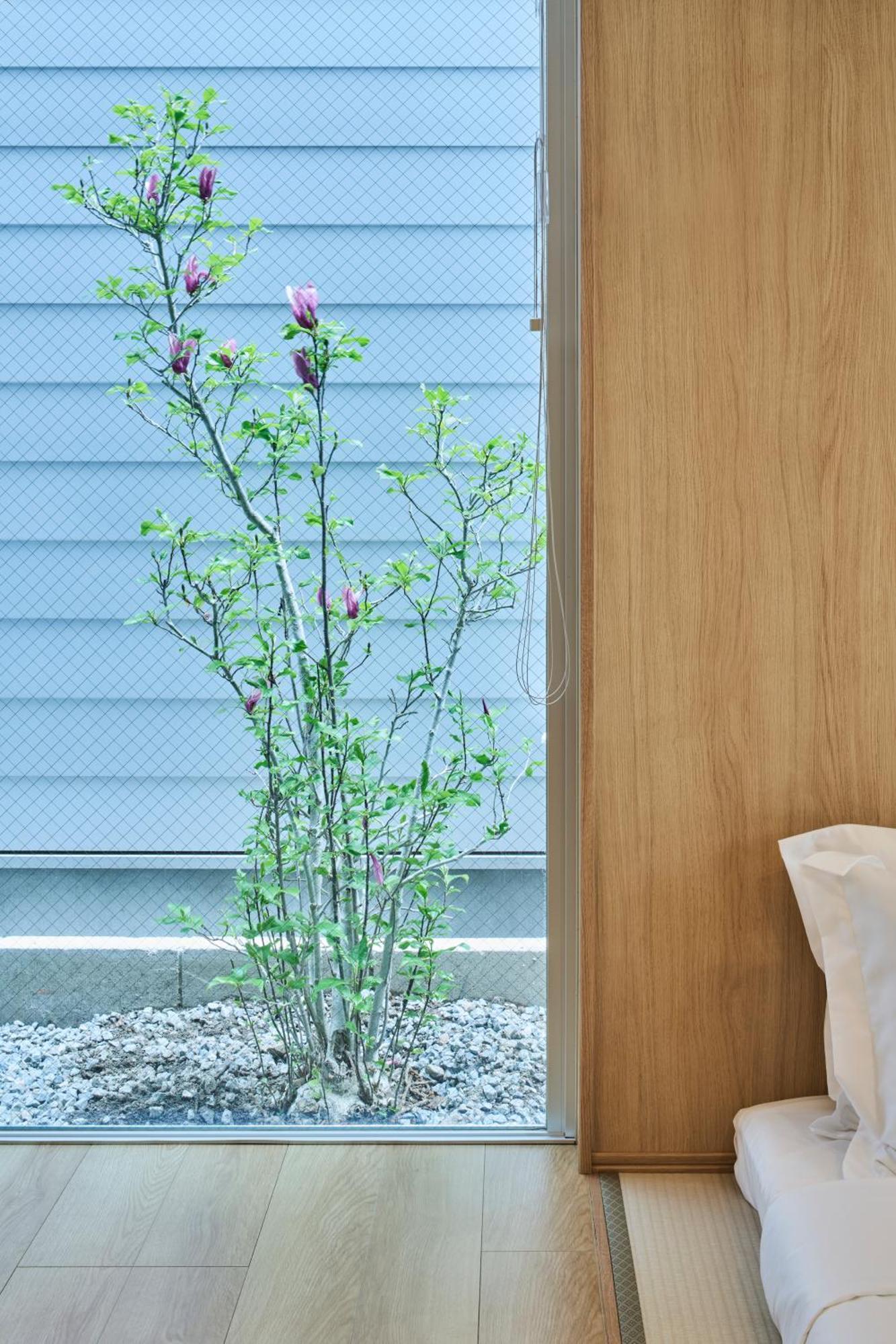 Reikyo Hanazono Apartment