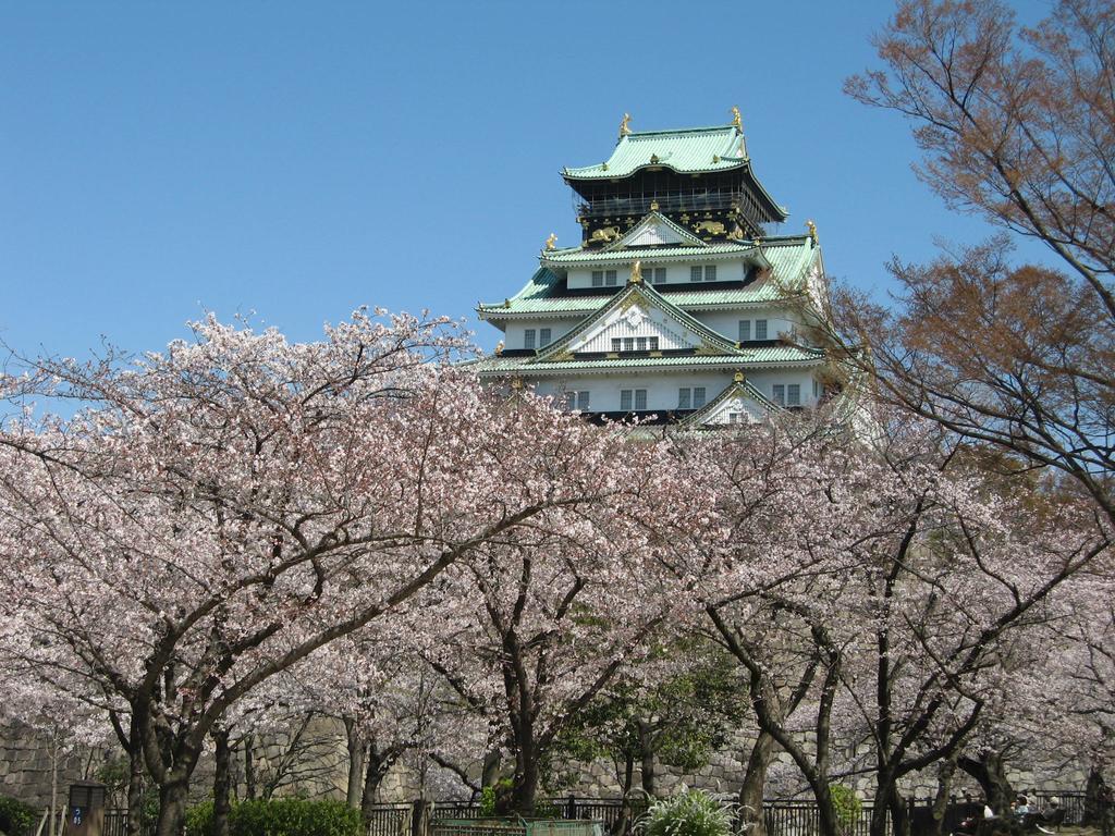 Namba Guest house *